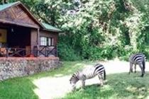 Mount Meru Game Lodge Arusha Exteriér fotografie